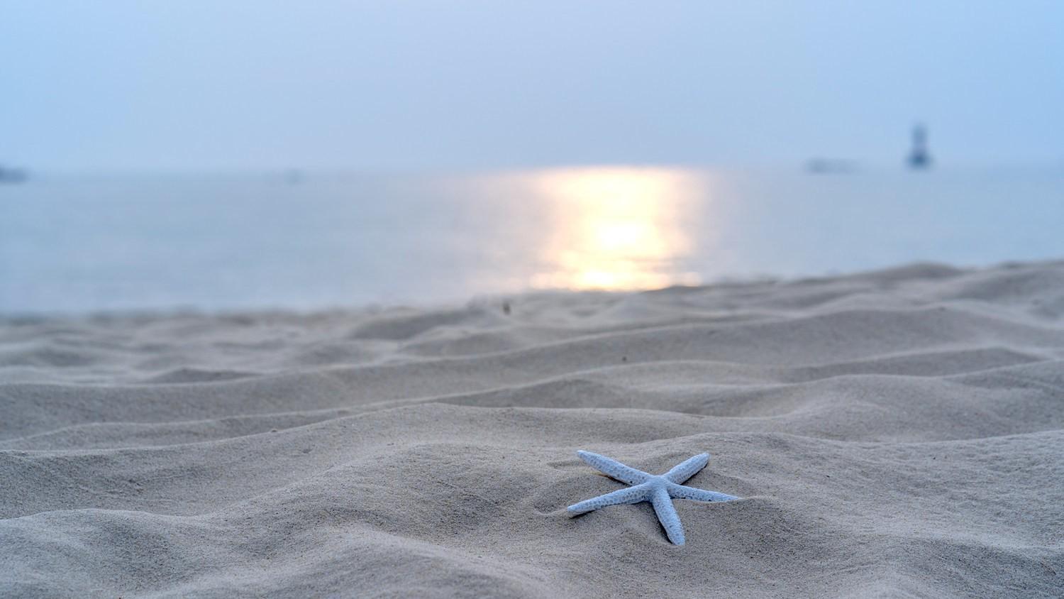 Anmyeondo Paradise Pension Taean Bagian luar foto